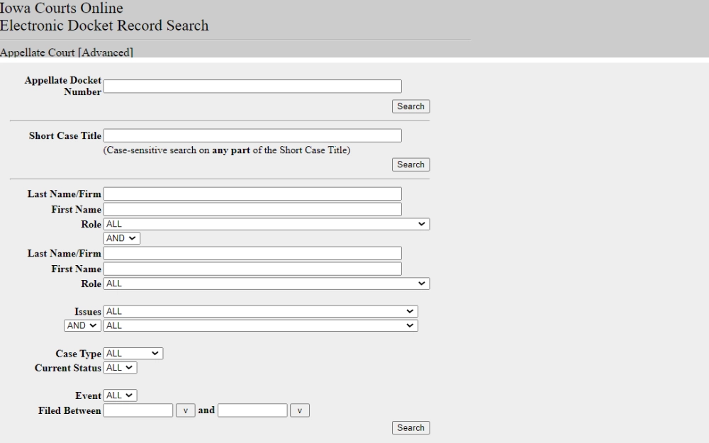 A screenshot of the Iowa Courts Online Page Electronic Docket Record Search requires users to provide necessary information to access case records.